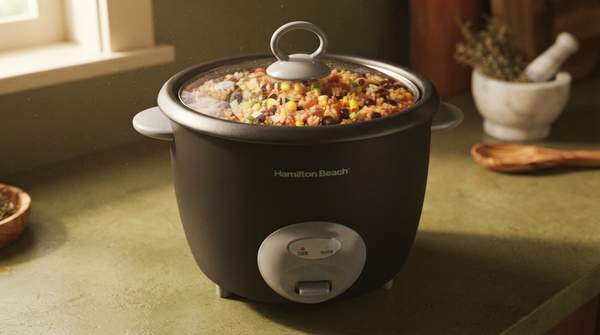 Editorial illustration for Hamilton Beach or Oster? The Two Budget Rice Cookers Actually Worth Your Money